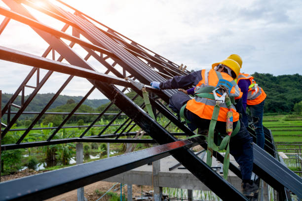 Best Roof Maintenance Services  in Horse Pasture, VA