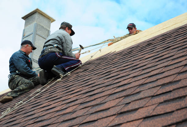 Best Roof Restoration Services  in Horse Pasture, VA